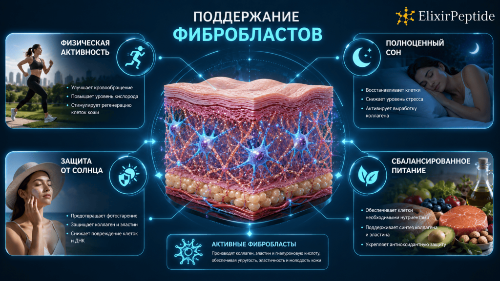 Поддержание фибробластов