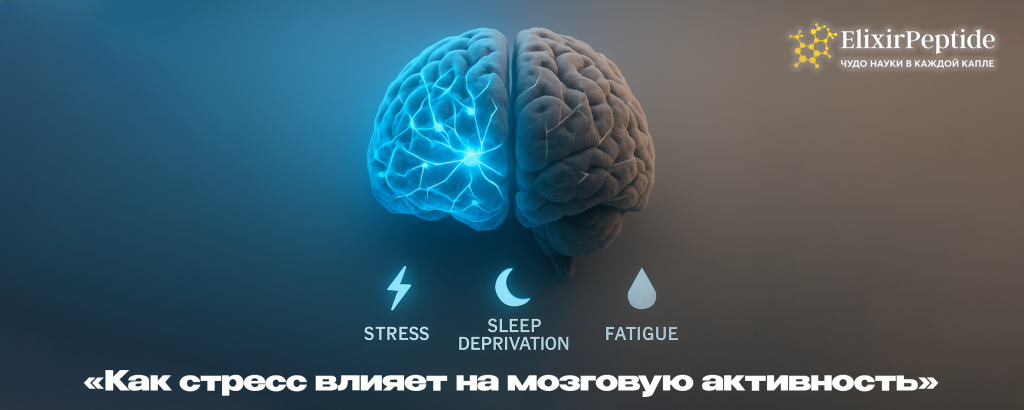 Как стресс влияет на мозговую активность.png Как стресс влияет на мозговую активность.png